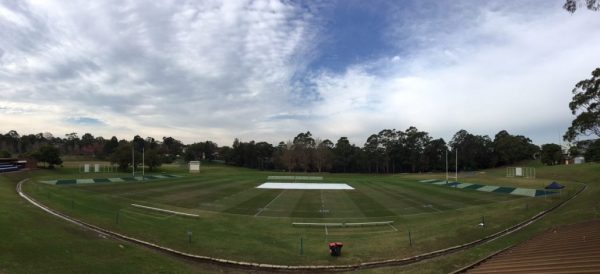 Cricket Covers