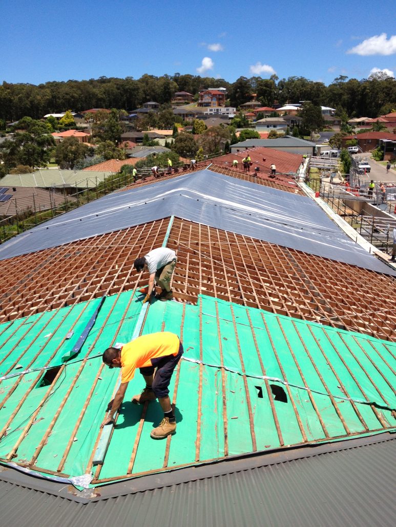 Roof Tarp and roof coverings