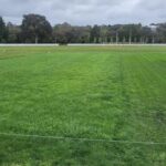Dura Tarp Grow Pro before after 2