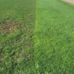 Dura Tarp Grow Pro before and after 1